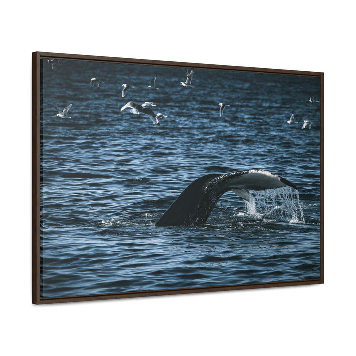 Feeding Tail - Canvas with Frame