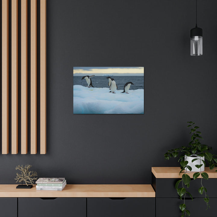 Penguin Dance - Canvas