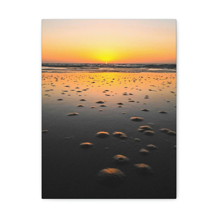 Burrows at Sunrise - Canvas