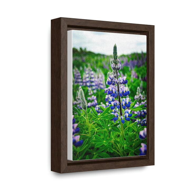 Glowing Lupin - Canvas with Frame