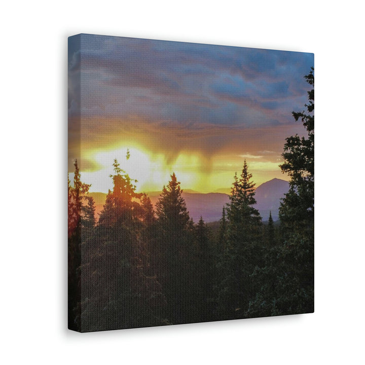 Rainy Sunset Through the Trees - Canvas