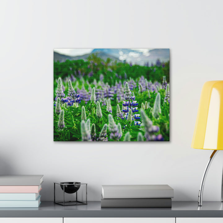 Glowing Lupin with Mountains - Canvas