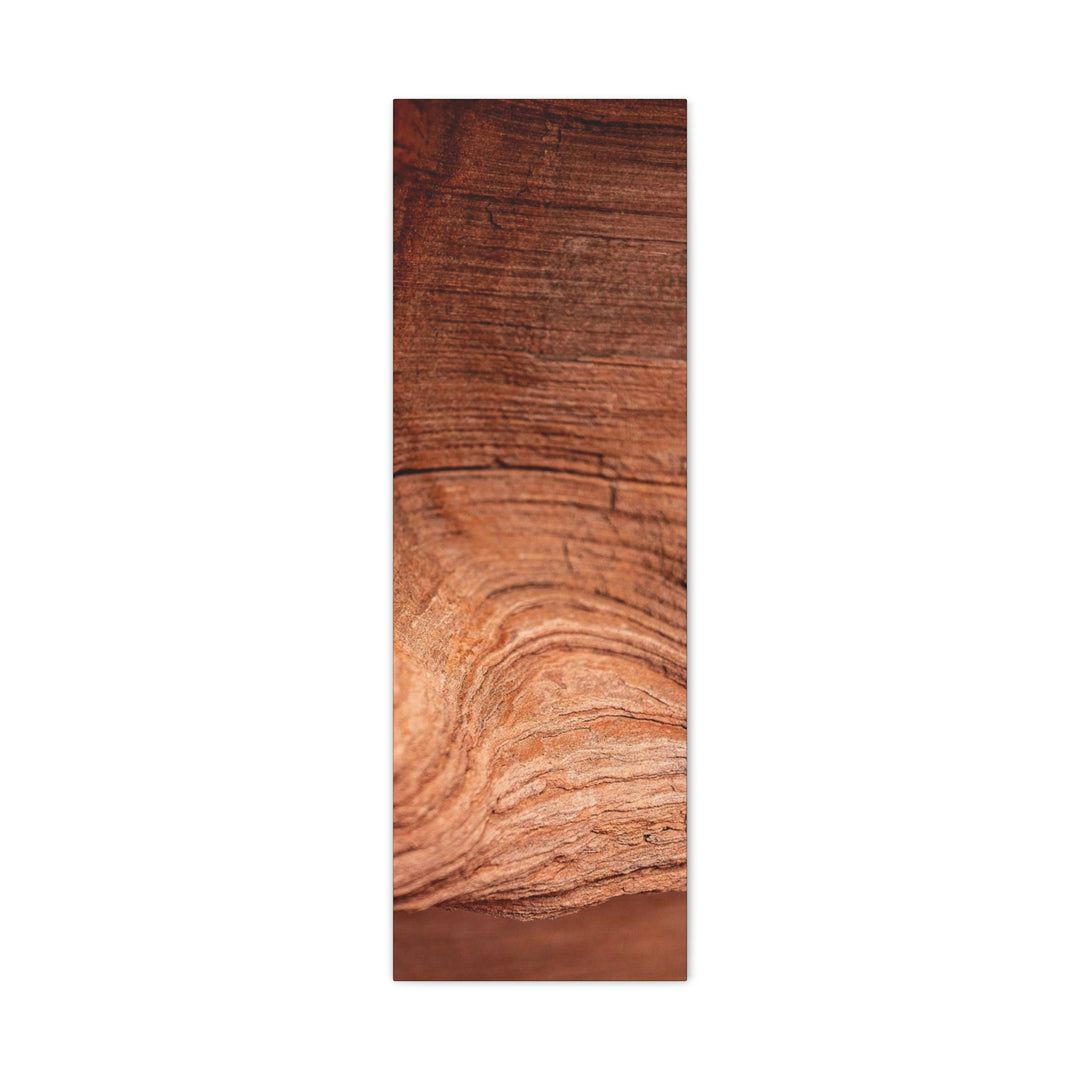 Sedimentary Rock Curves - Canvas