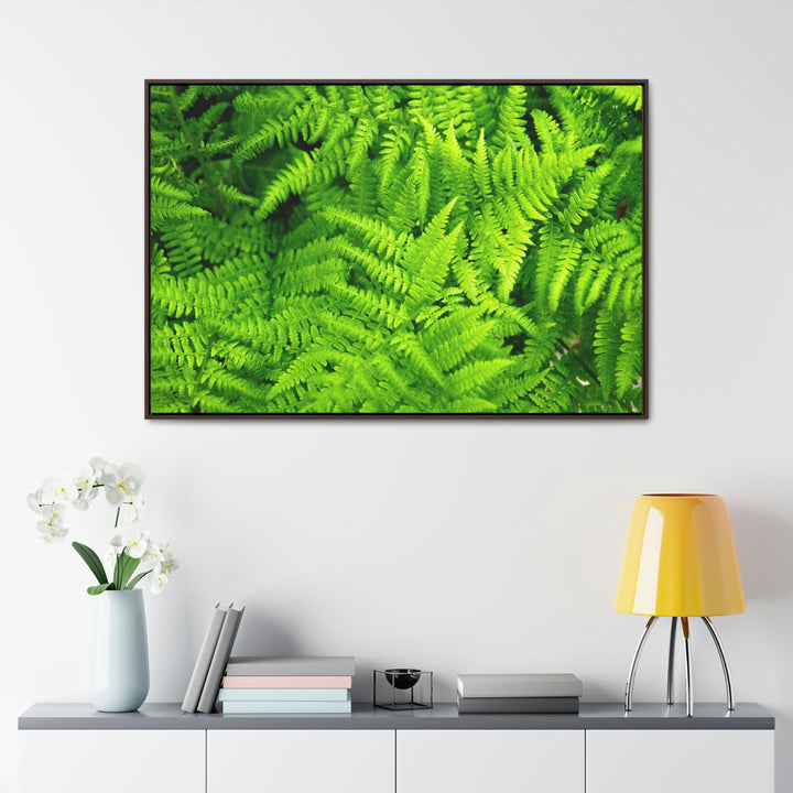 Ferns, Ferns, Ferns - Canvas with Frame