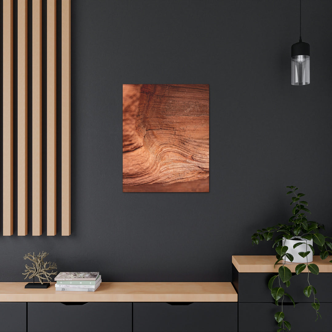 Sedimentary Rock Curves - Canvas