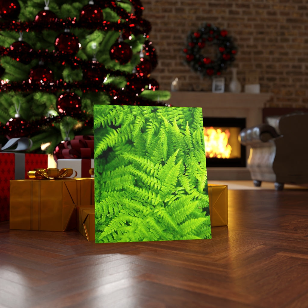 Ferns, Ferns, Ferns - Canvas