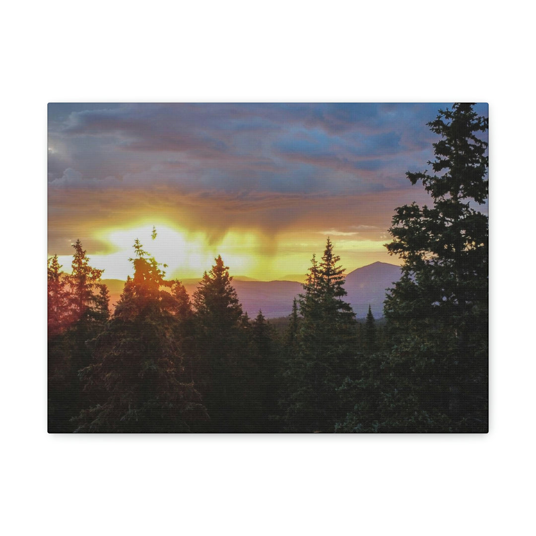 Rainy Sunset Through the Trees - Canvas