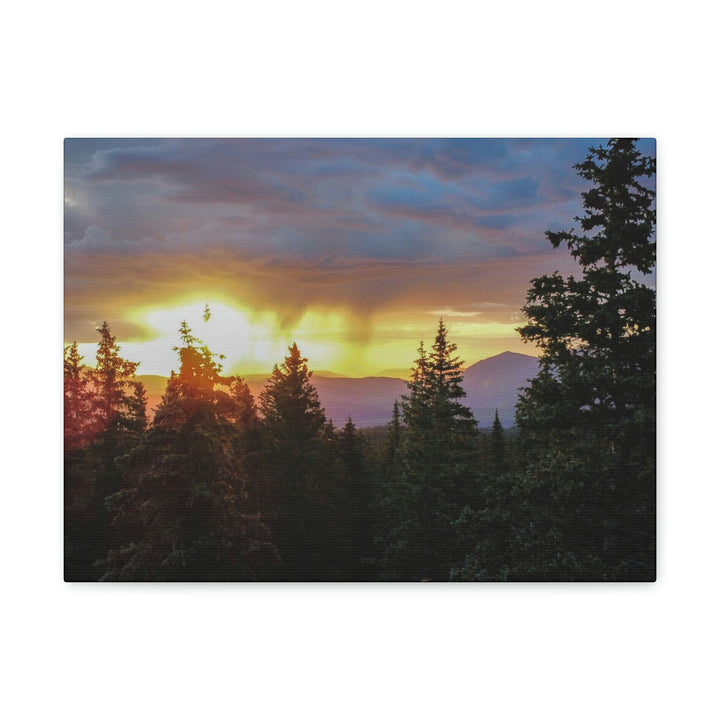 Rainy Sunset Through the Trees - Canvas