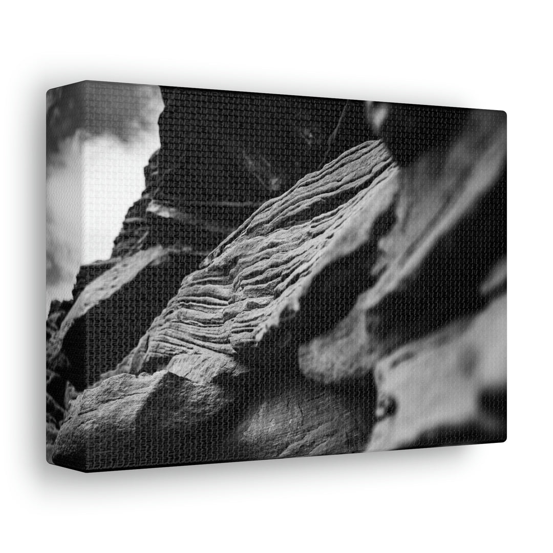 Layers of Rock in Black and White - Canvas