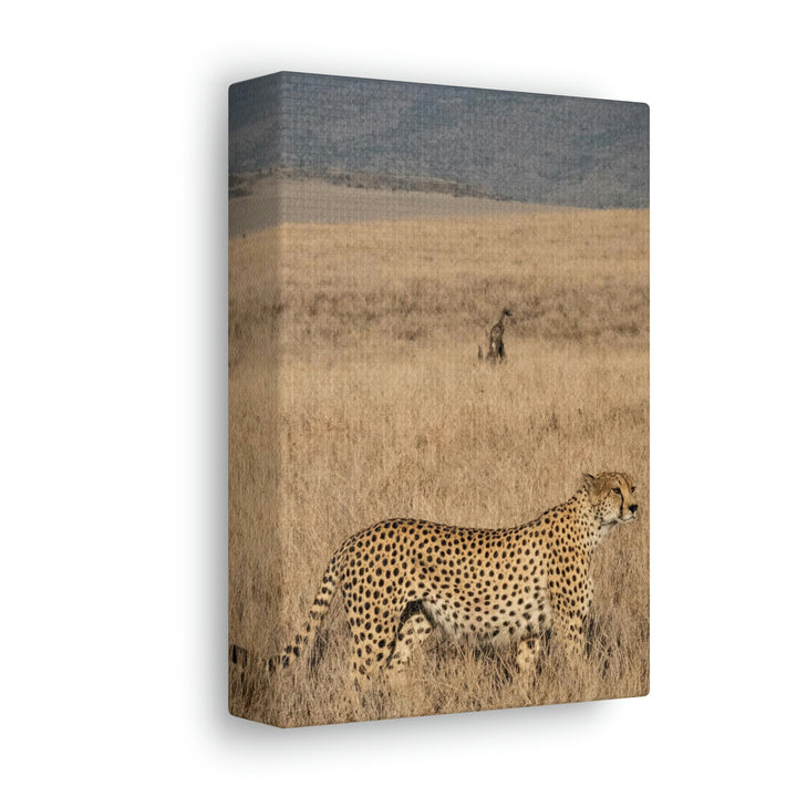 Regal Camouflage - Canvas