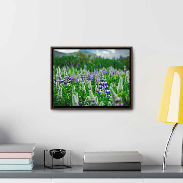 Glowing Lupin with Mountains - Canvas with Frame