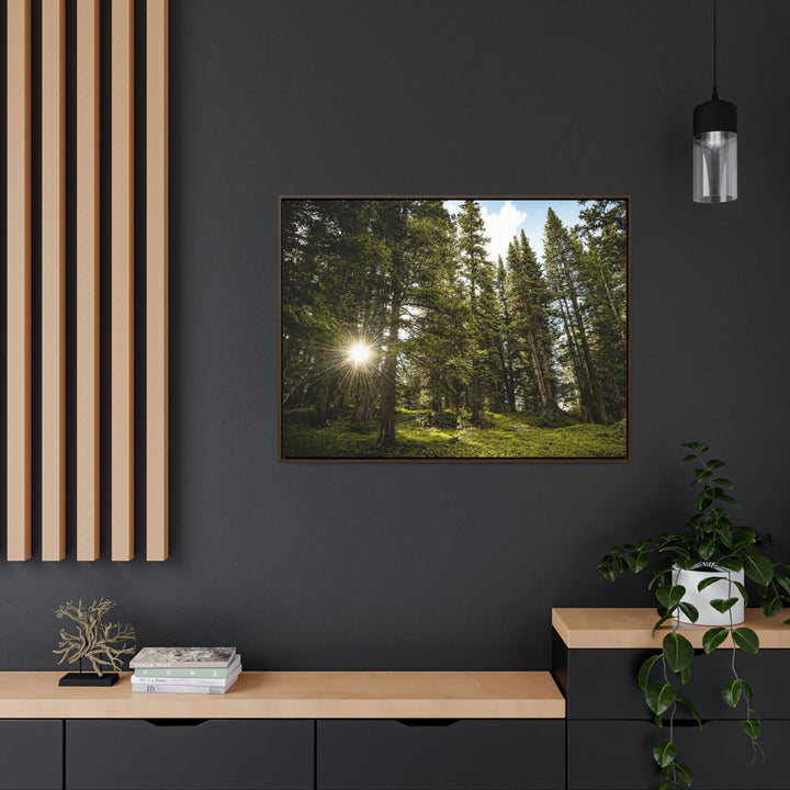 Forest Light - Canvas with Frame