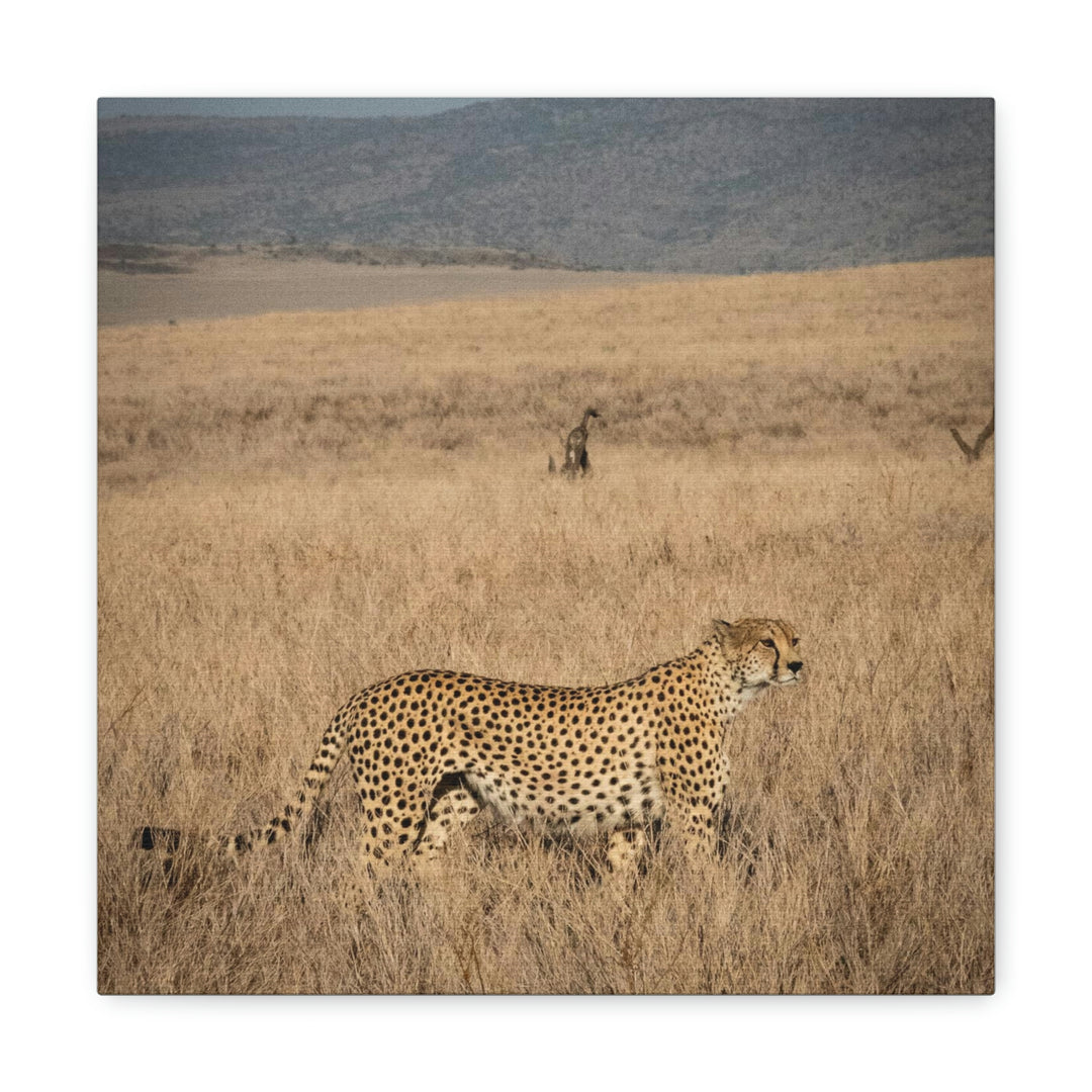 Regal Camouflage - Canvas