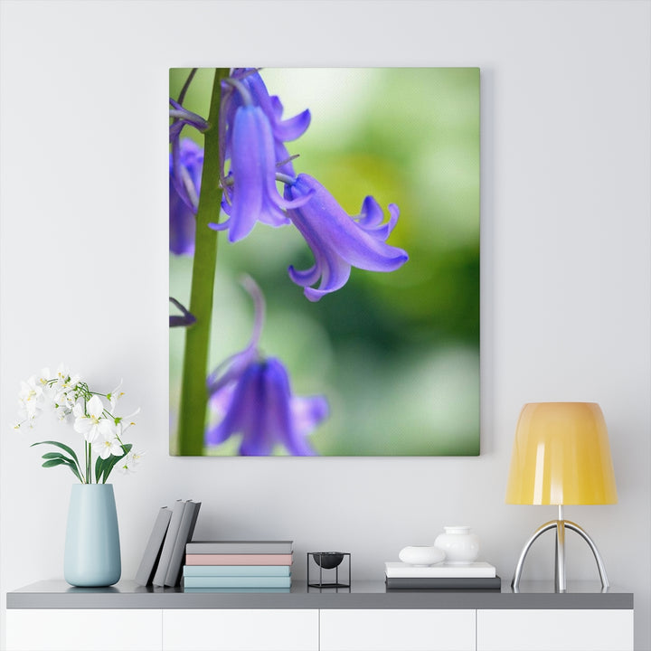 Delicate Bell - Canvas