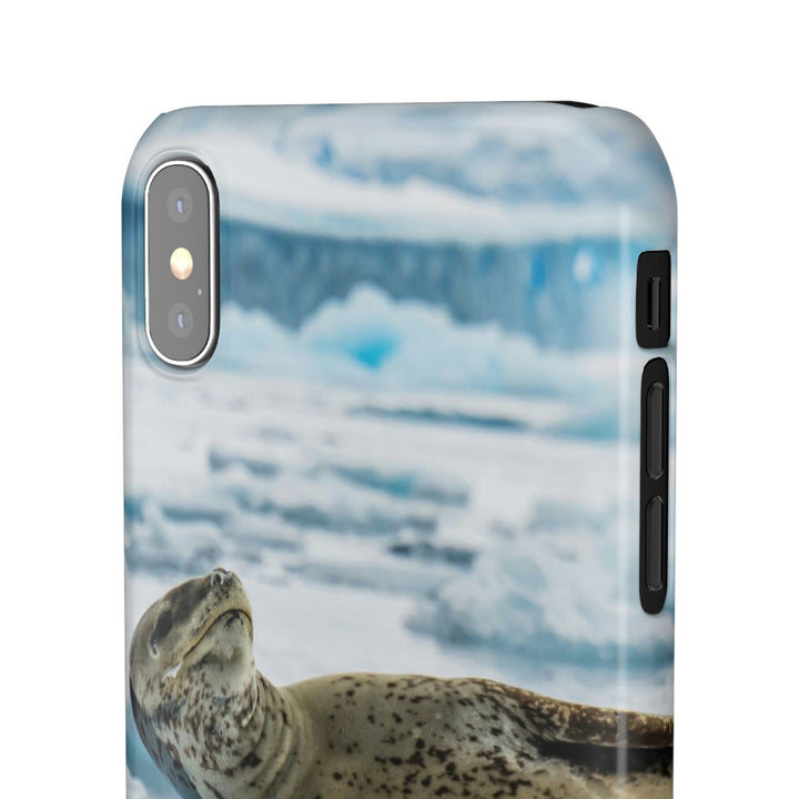 Leopard Seal Relaxing - Phone Case