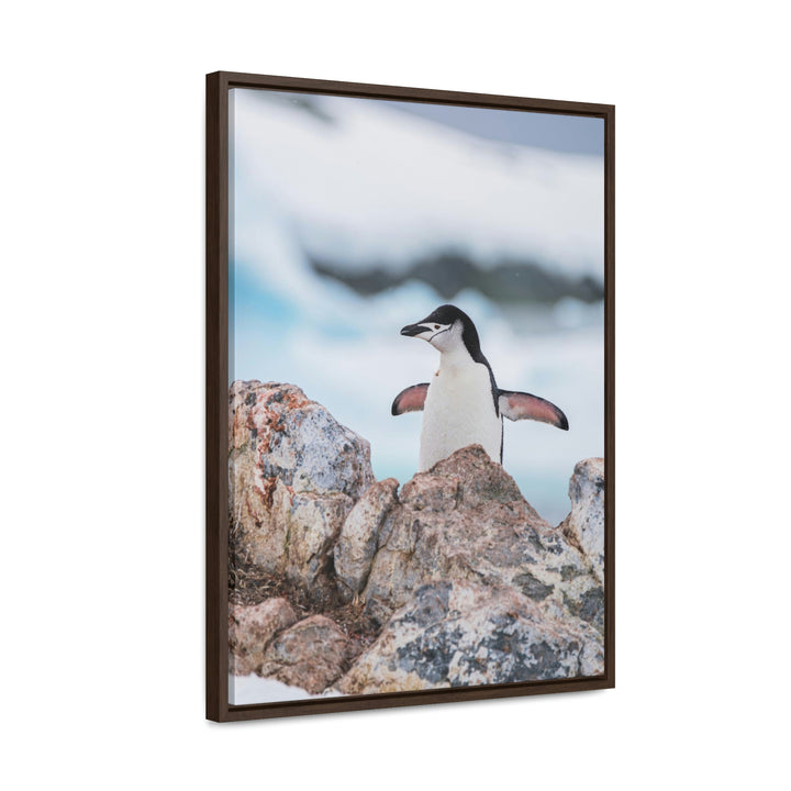 Stretched Penguin - Canvas with Frame