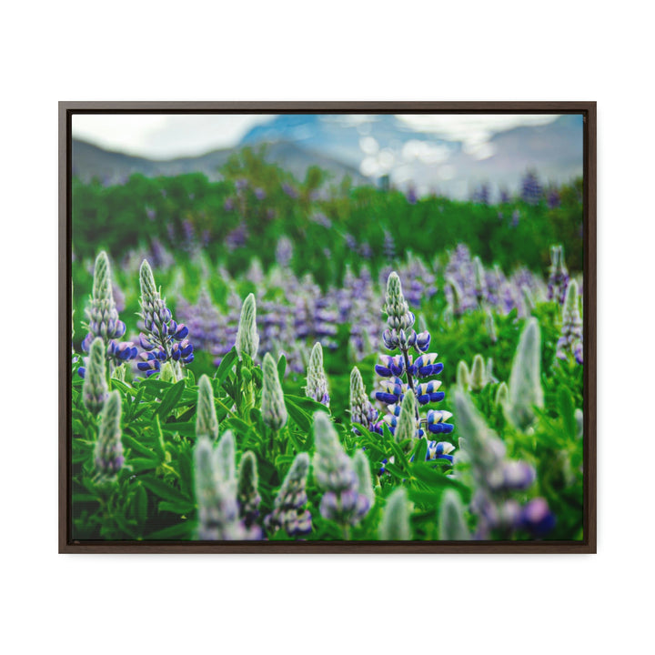 Glowing Lupin with Mountains - Canvas with Frame