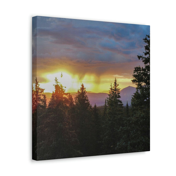 Rainy Sunset Through the Trees - Canvas