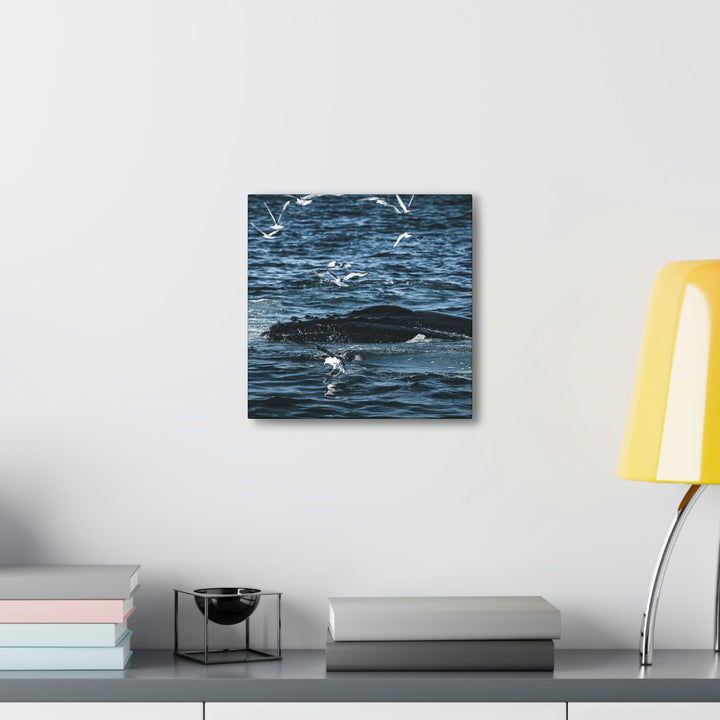 Humpback Hello - Canvas