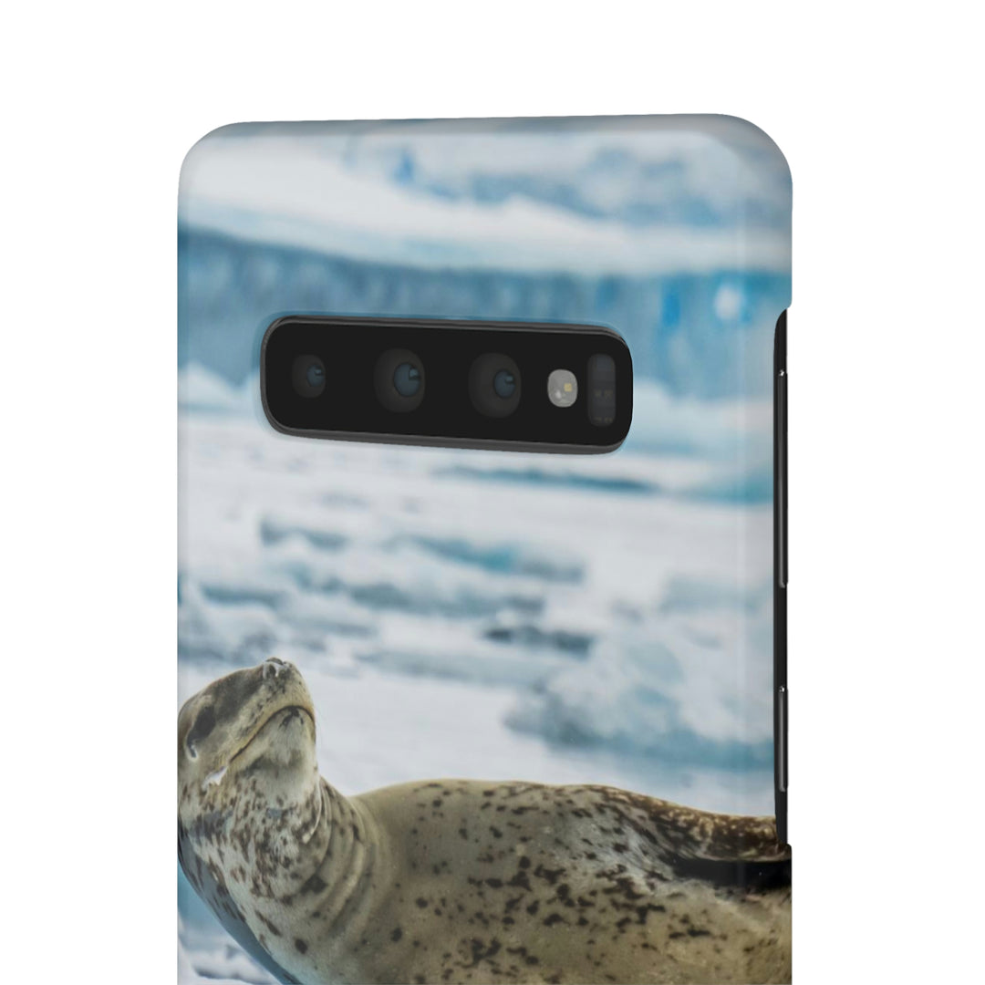 Leopard Seal Relaxing - Phone Case