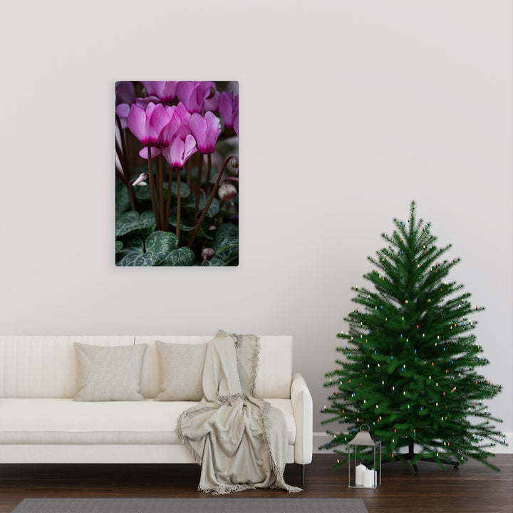 Cyclamen Reach - Canvas