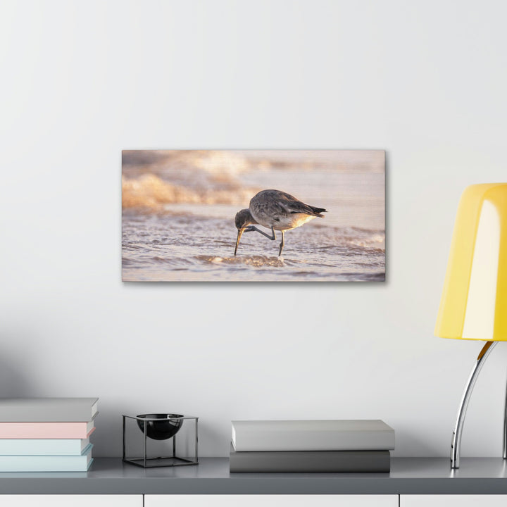 Willet Itch - Canvas