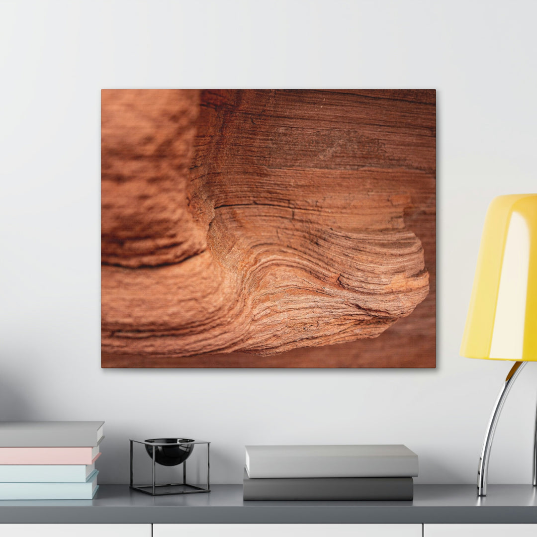 Sedimentary Rock Curves - Canvas