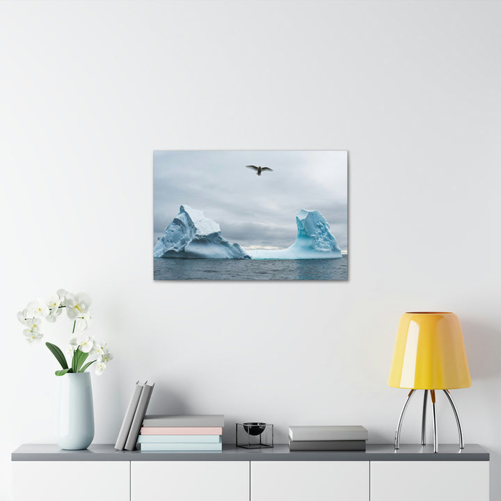 Antarctic Flight - Canvas