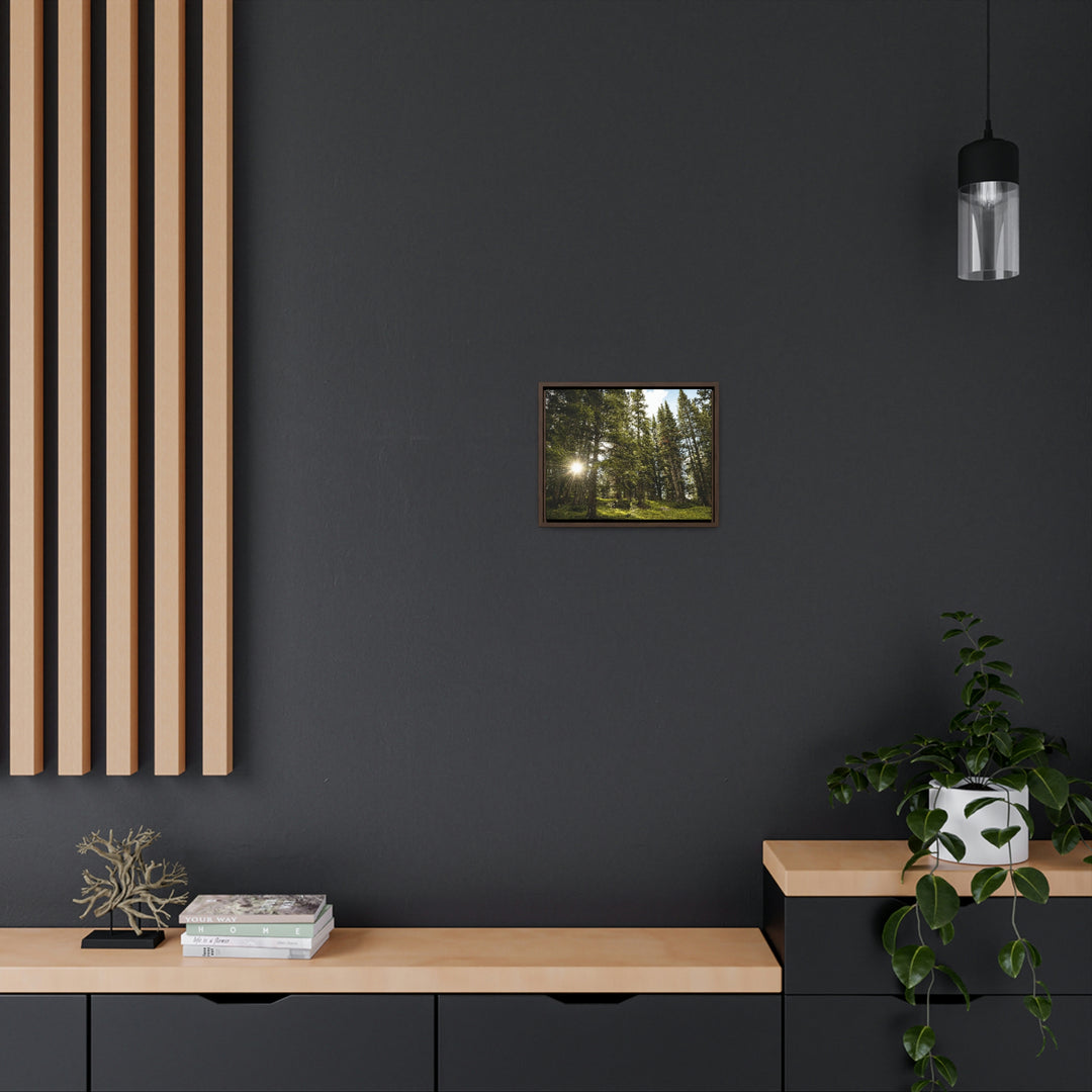 Forest Light - Canvas with Frame