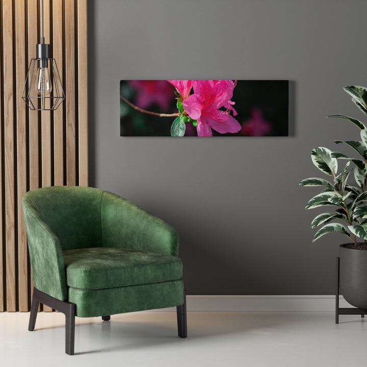 Standout Azalea - Canvas