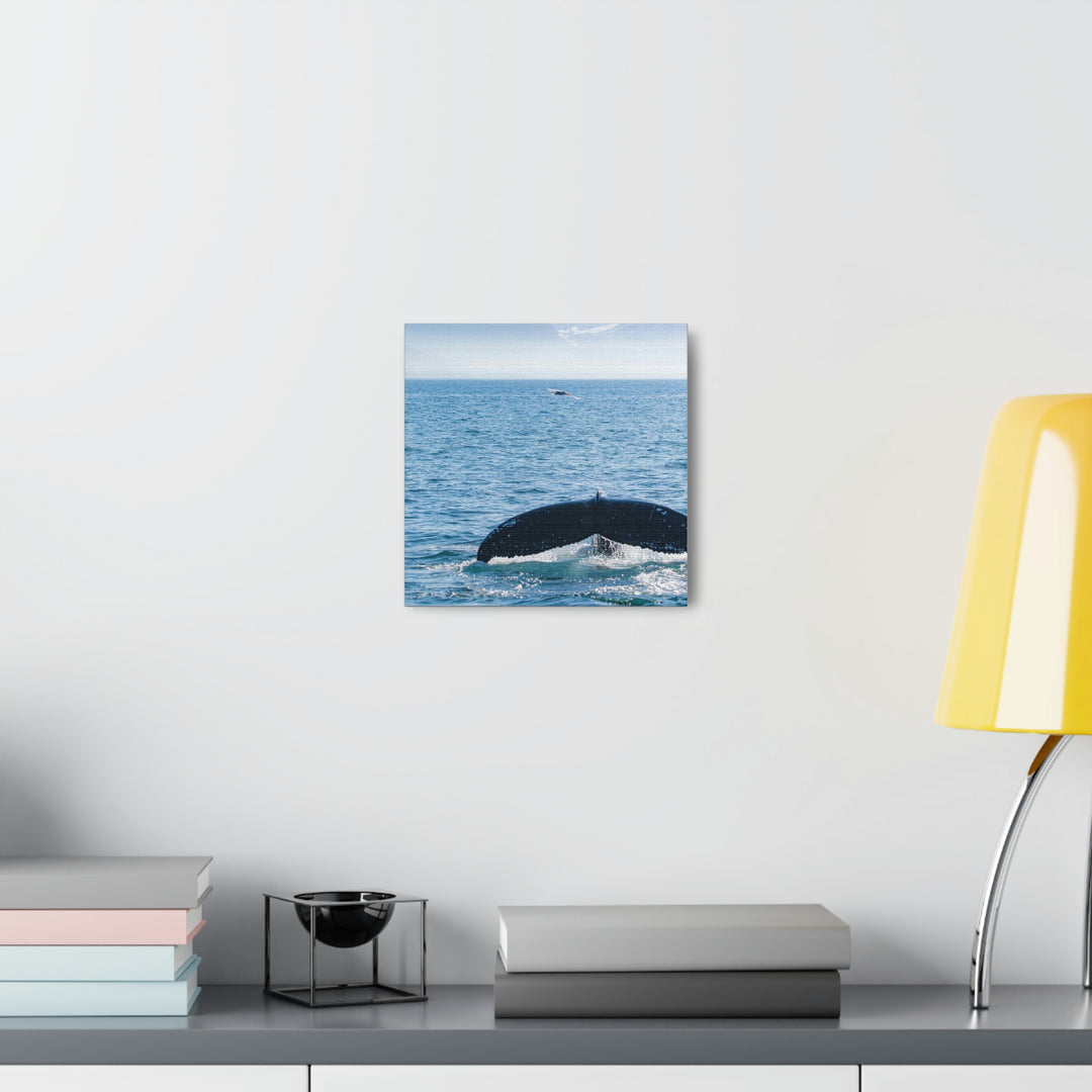 A Whale and A Mountain - Canvas