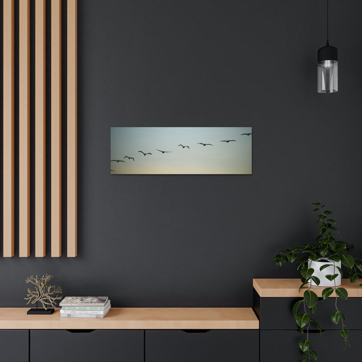 Brown Pelicans in Flight - Canvas