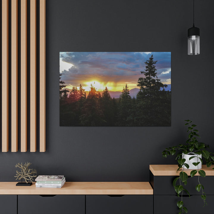 Rainy Sunset Through the Trees - Canvas