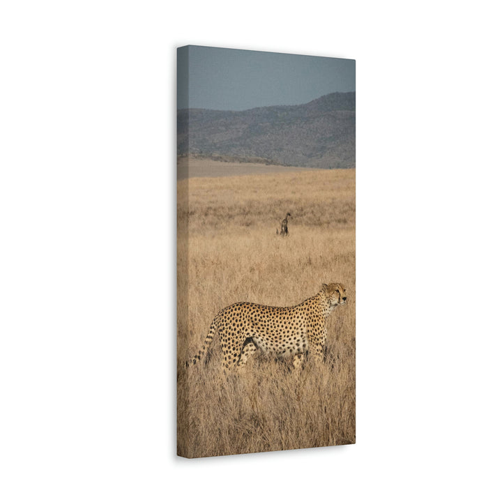 Regal Camouflage - Canvas