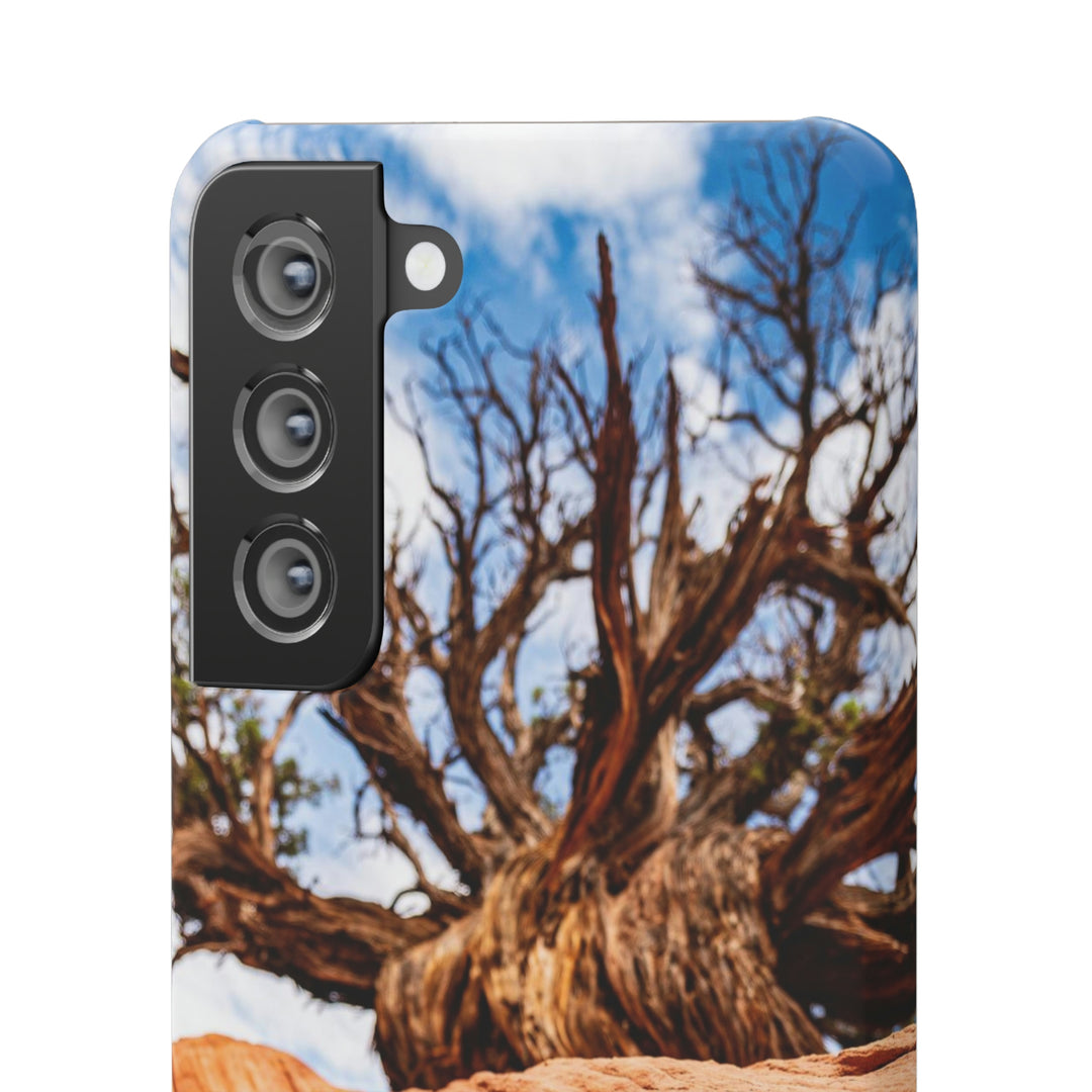 Desert Reach - Phone Case