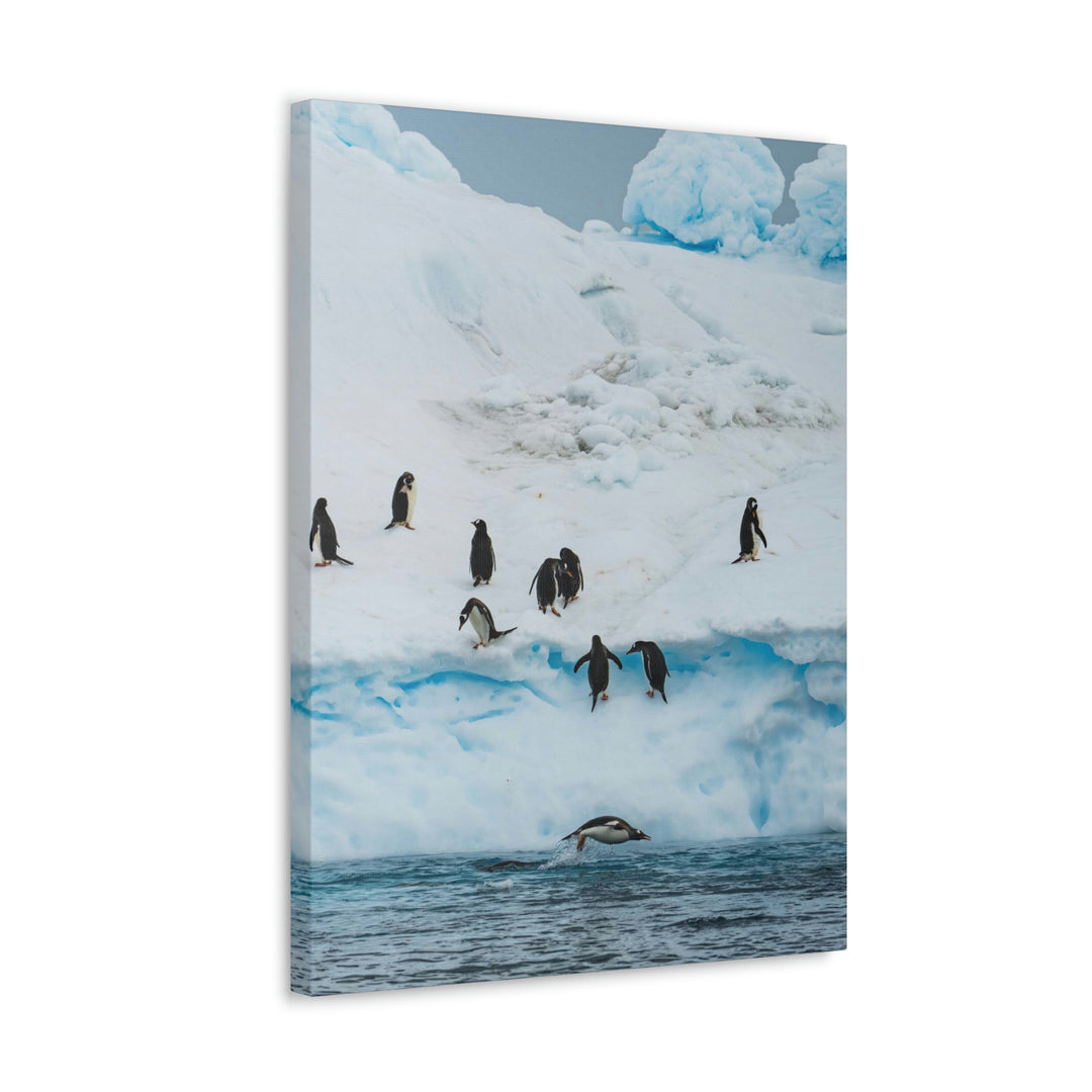 Porpoising Penguin - Canvas