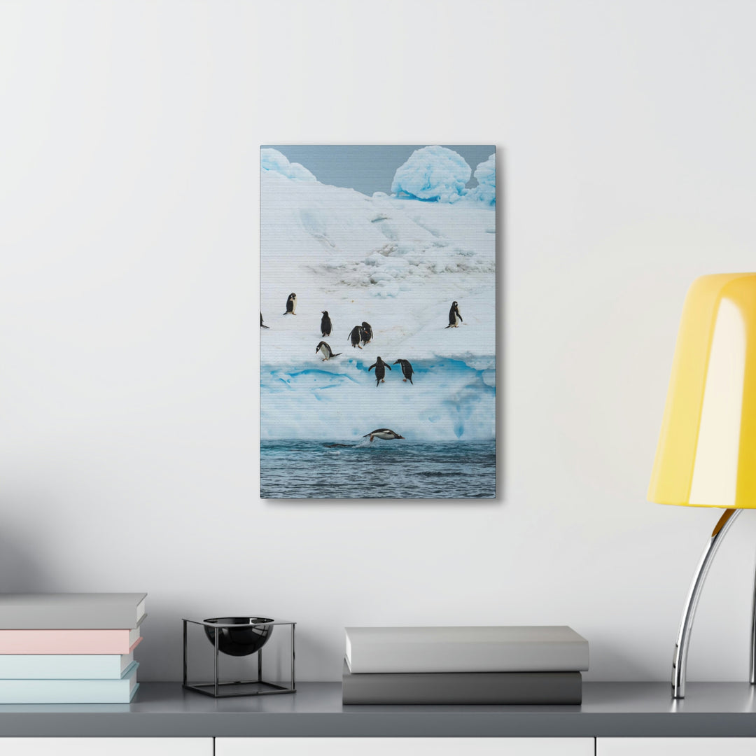 Porpoising Penguin - Canvas