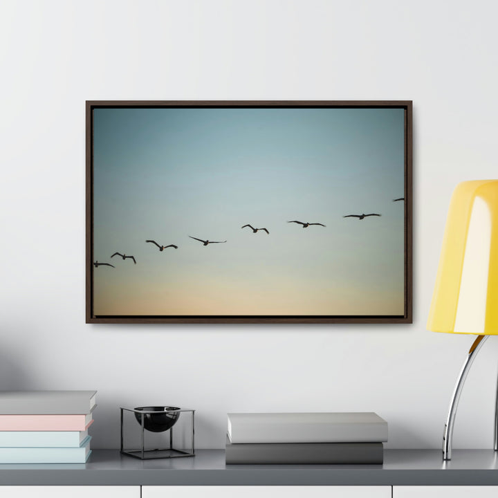 Brown Pelicans in Flight - Canvas with Frame