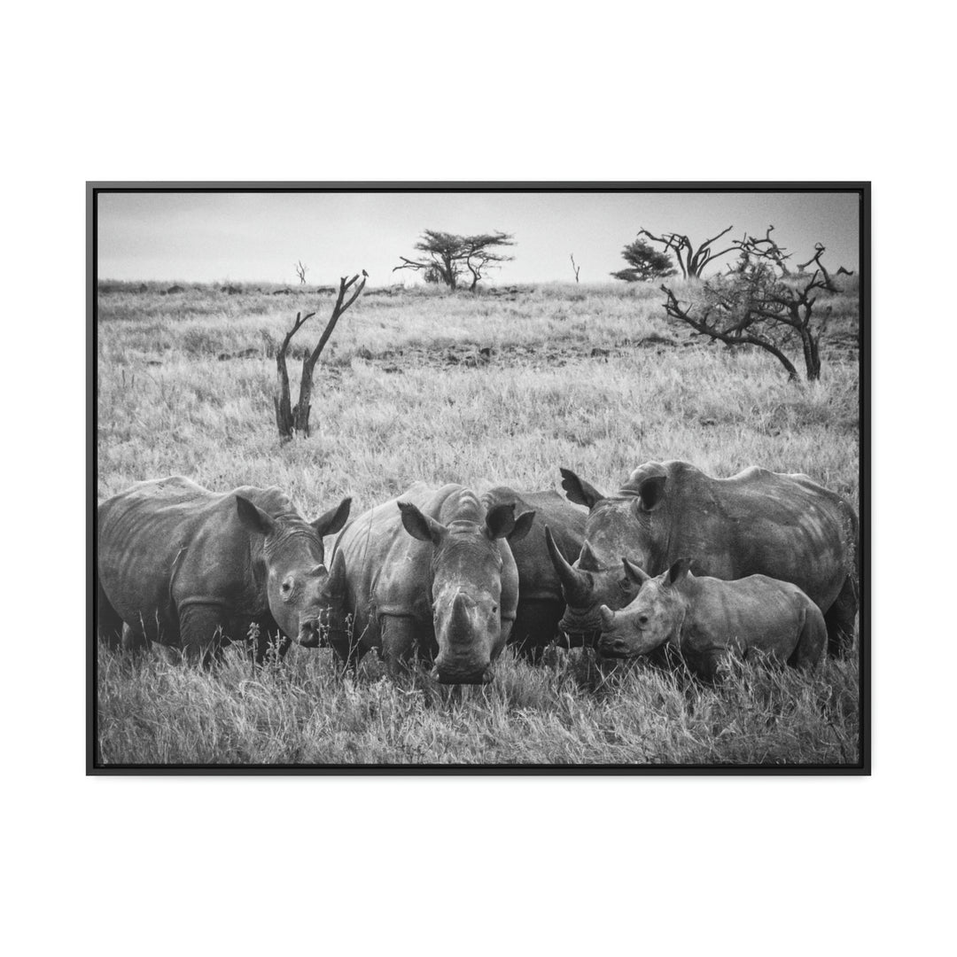 Rhino Family in Black and White - Canvas with Frame