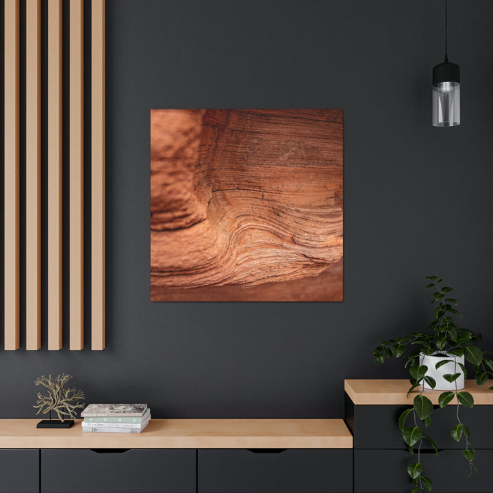 Sedimentary Rock Curves - Canvas