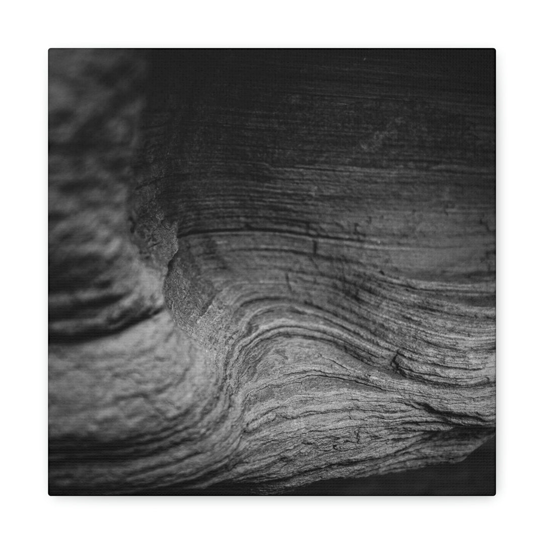 Sedimentary Rock Curves in Black and White - Canvas