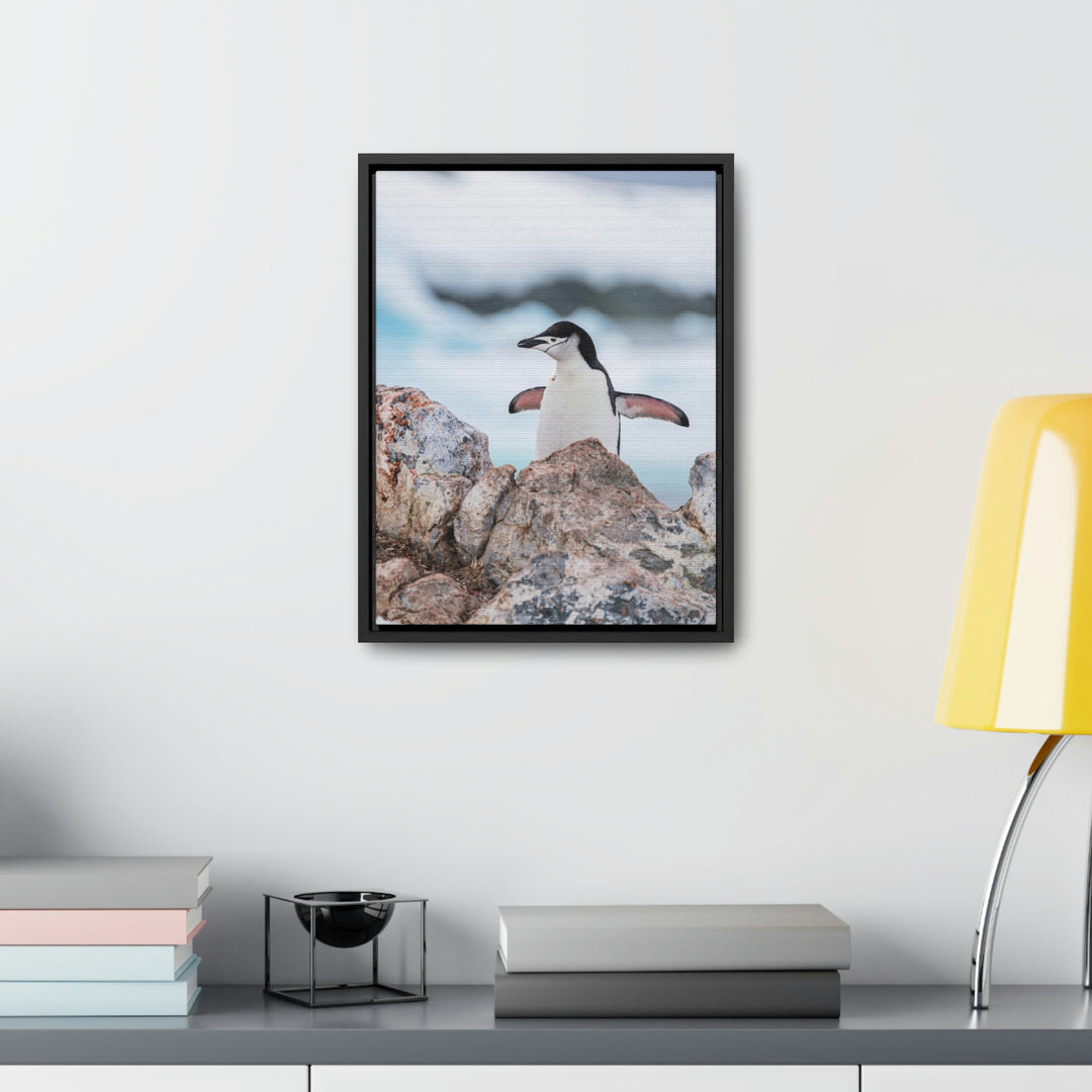 Stretched Penguin - Canvas with Frame