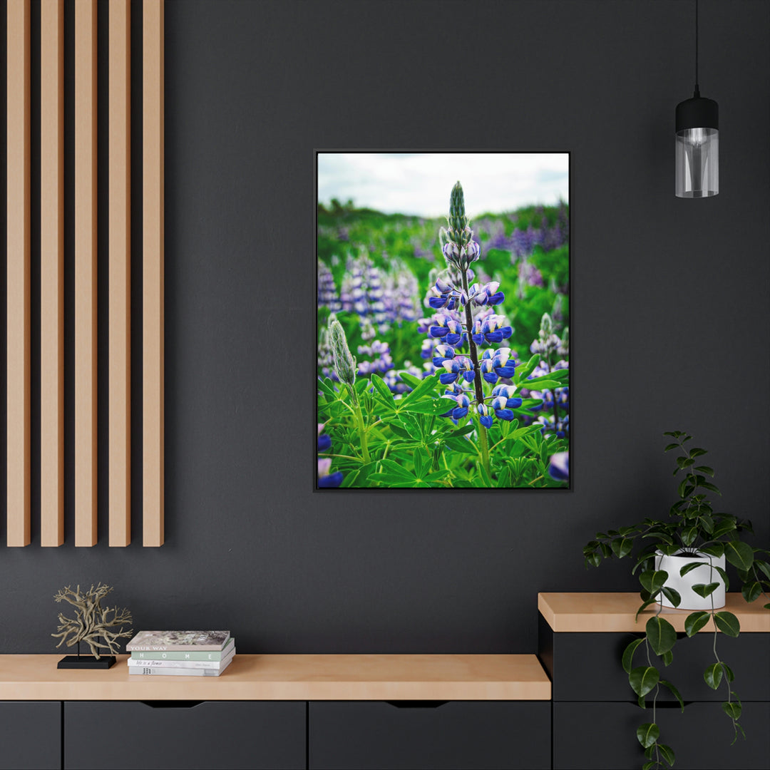 Glowing Lupin - Canvas with Frame