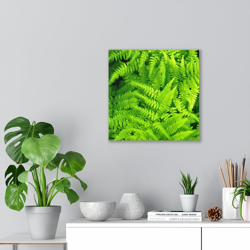 Ferns, Ferns, Ferns - Canvas