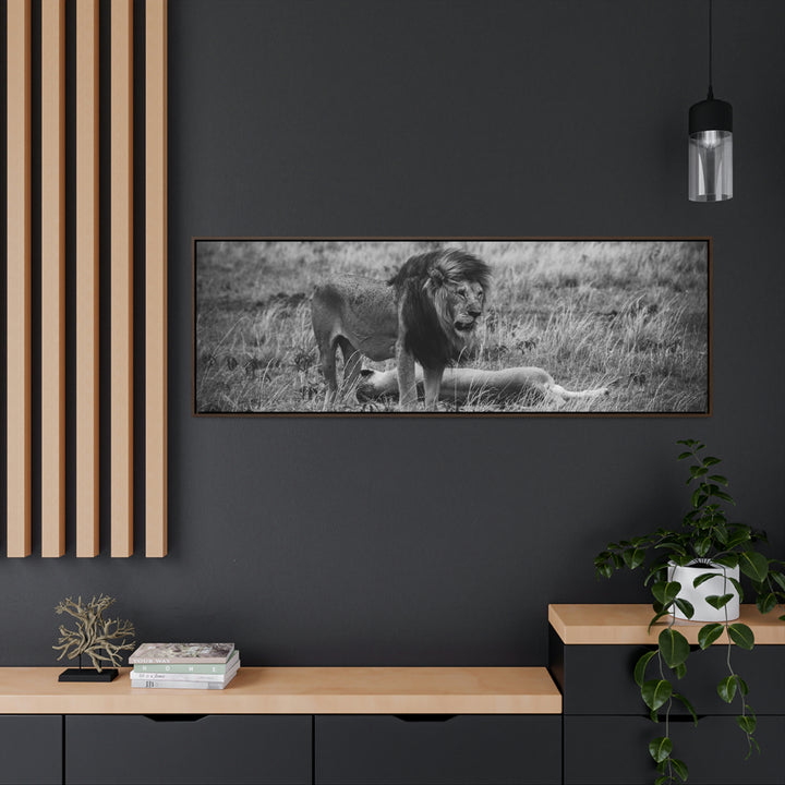 Mating Lions in Black and White - Canvas with Frame