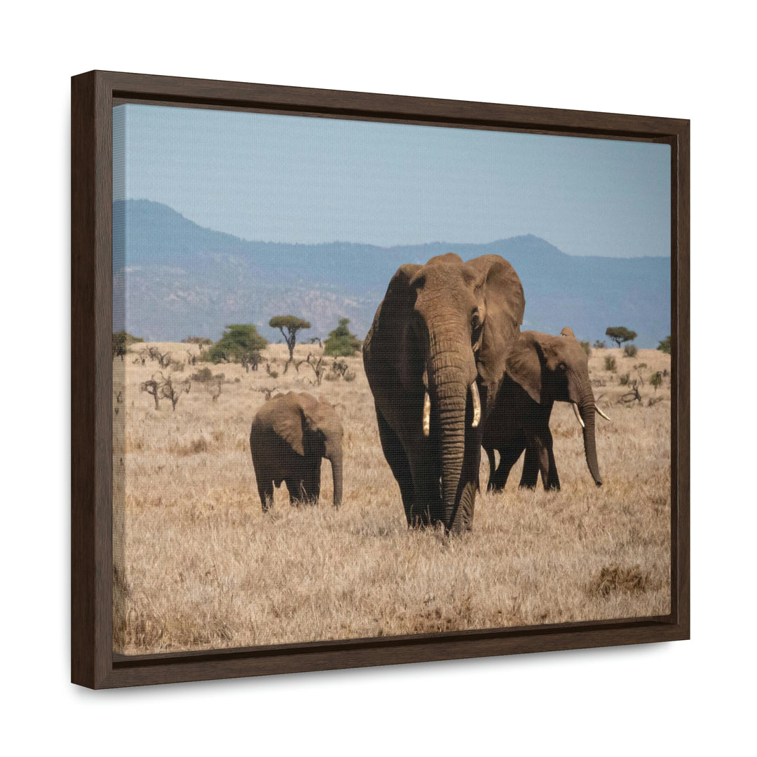 Family March - Canvas With Frame