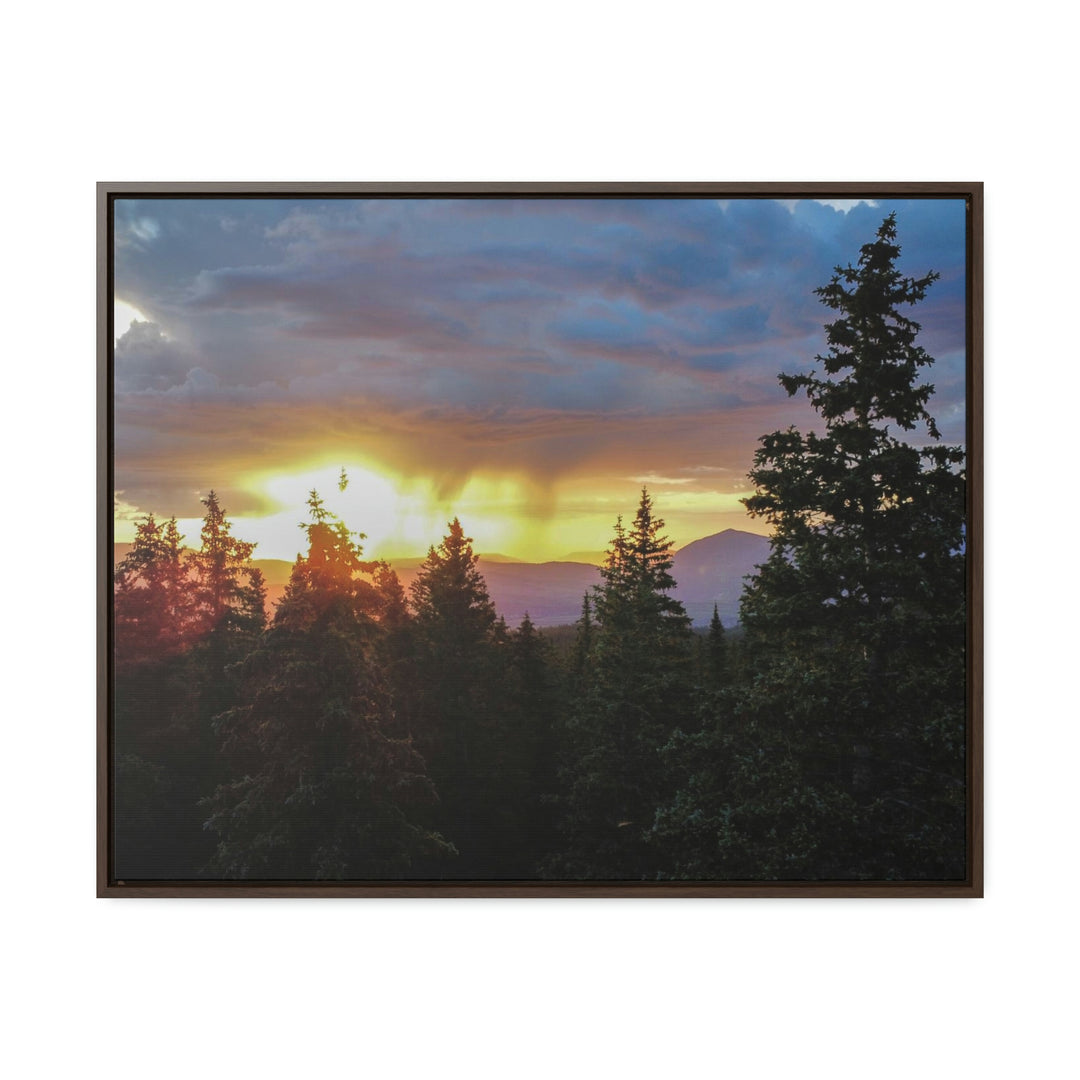 Rainy Sunset Through the Trees - Canvas with Frame