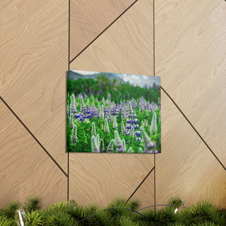 Glowing Lupin with Mountains - Canvas