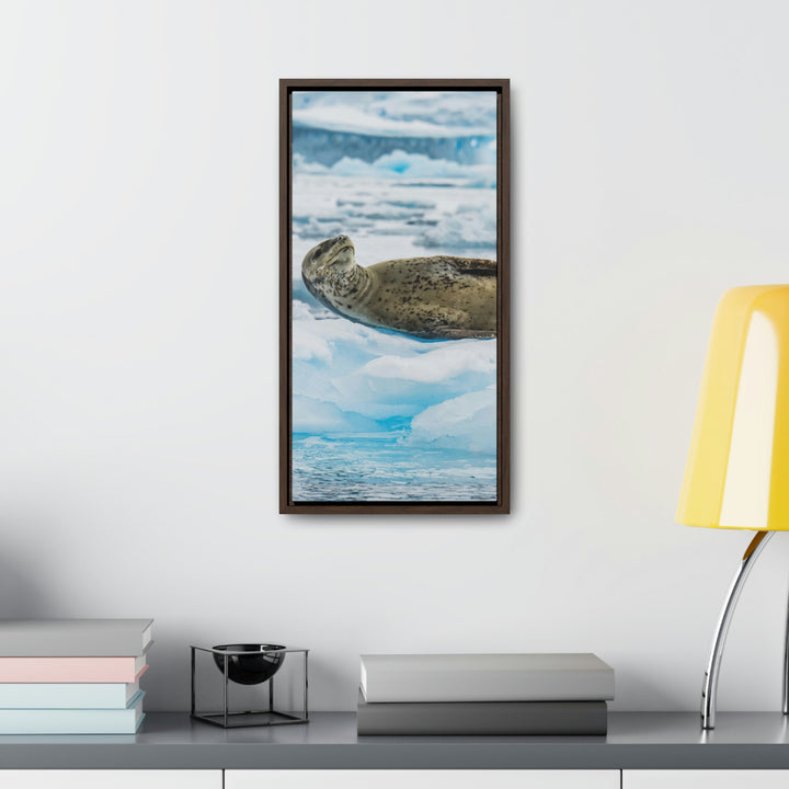 Leopard Seal Relaxing - Canvas with Frame