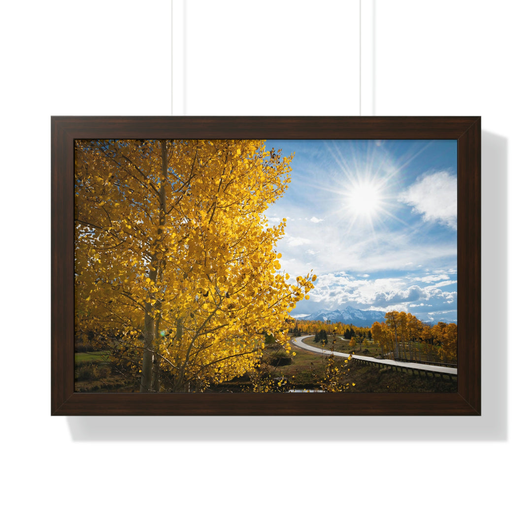 Golden Sunshine - Framed Print